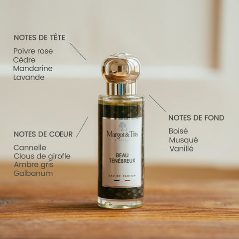 Beau ténébreux