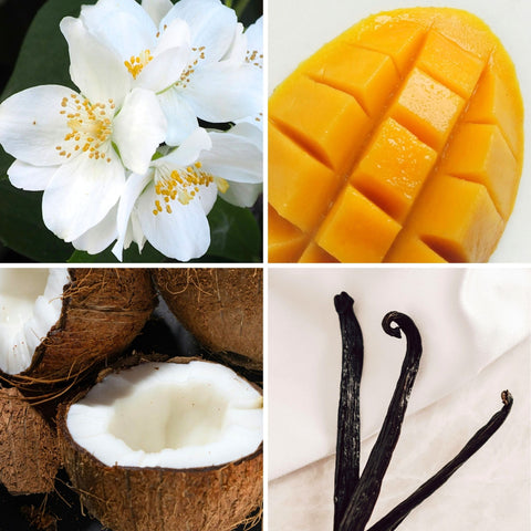 Kisses and Seashells - 50ml