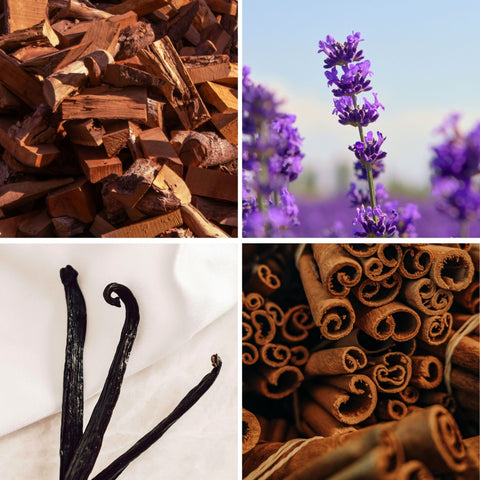 Beau ténébreux - 30ml