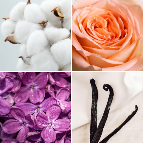 Les filles de Bordeaux - 30ml