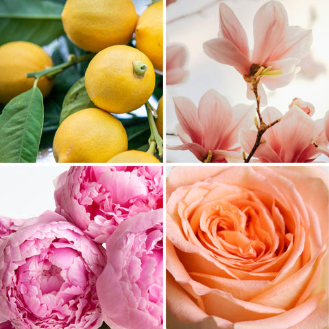 Le rose vous va si bien - 30ml