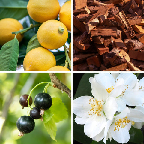 Mademoiselle Margot - 30ml