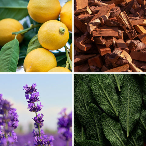 Ombre et lumière - 30ml