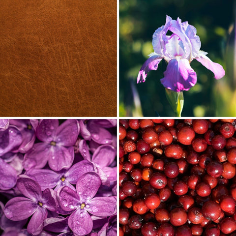 Partenaire particulier - 30ml