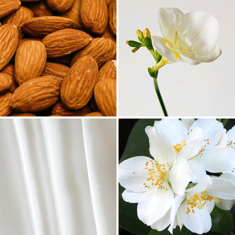 Rêve musqué  -  30ml