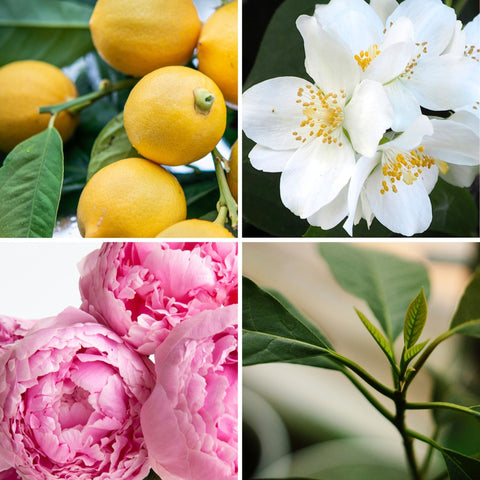 Un je ne sais quoi - 30ml