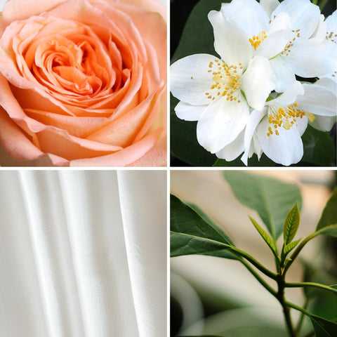 Voulez-vous m'épouser ? - 30ml