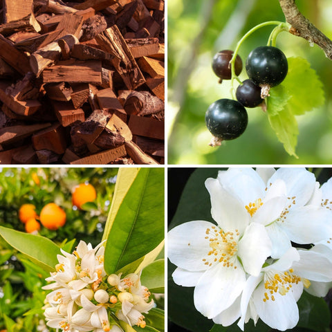 Week-end à Biarritz