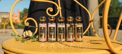 Découvrez tous nos parfums solaires